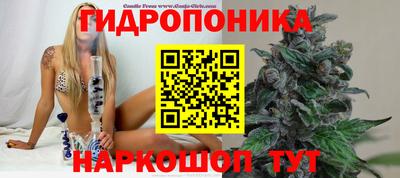 стафф Гагарин