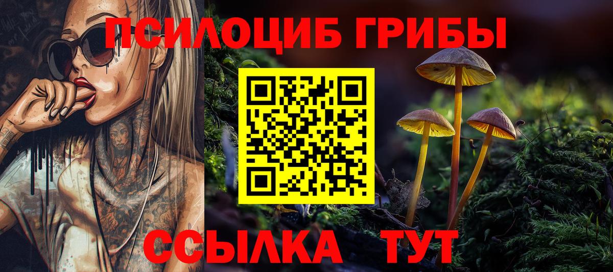 где купить наркоту  Псилоцибиновые грибы Psilocybe  Вход с VPN  Наро-Фоминск 